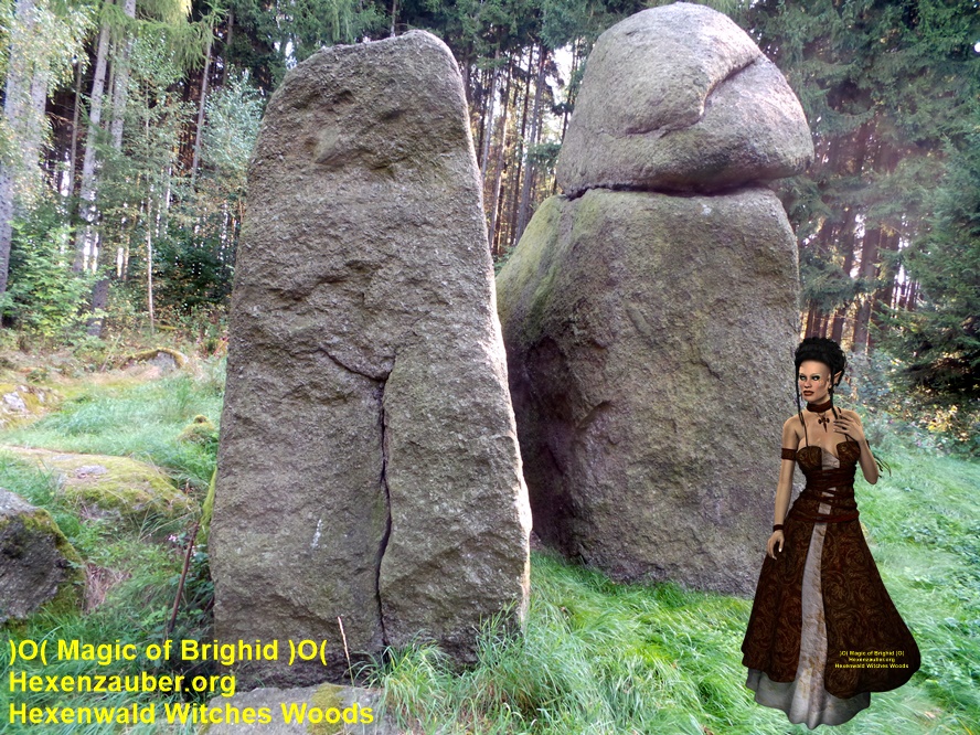 zauberwald, magischer wald