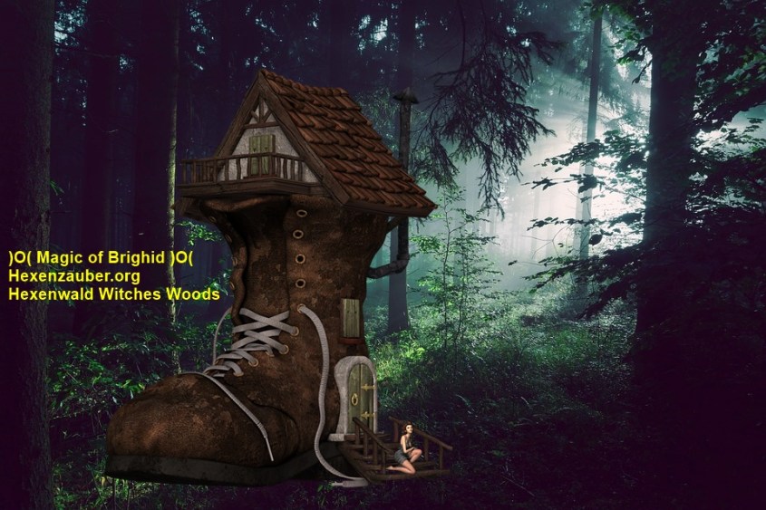 hexenwald, maerchenwald, zauberwald