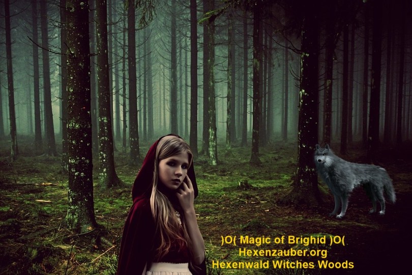 hexenwald, maerchenwald, zauberwald, magischer wald, feenwald, zwergenwald, ritualwald, geisterwald, gnomenwald, hensel und gretel, sorcières foret, rituel,