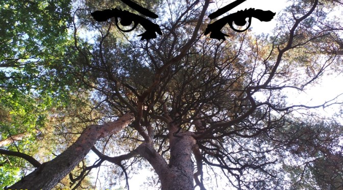 Moderne Hexen Heute in Europa